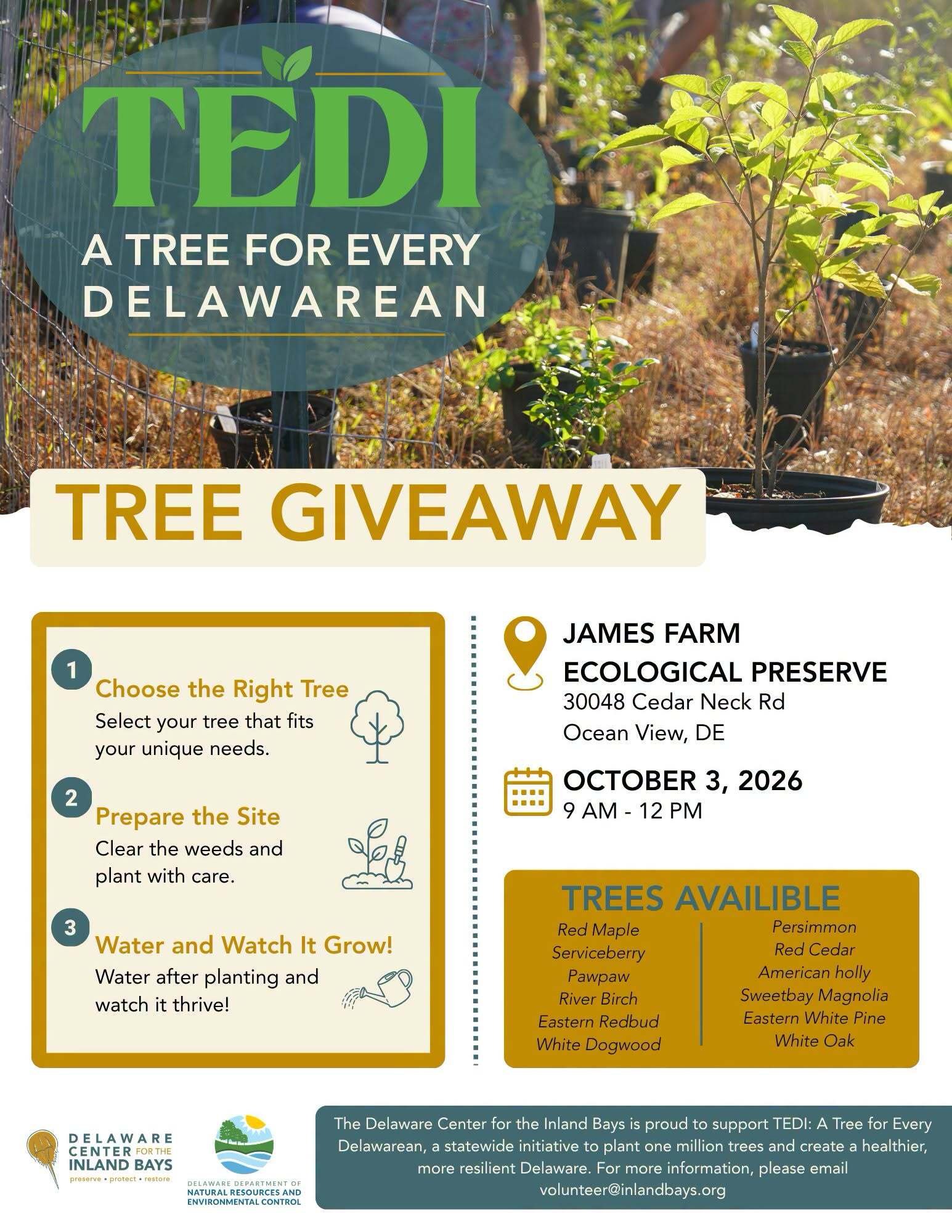 Free Tree Giveaway DCIB