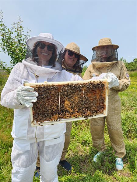 The Carey Apiary and Farm LLC gallery photo